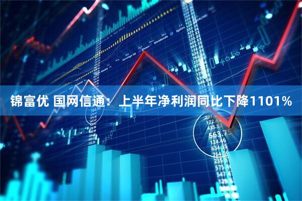 锦富优 国网信通：上半年净利润同比下降1101%
