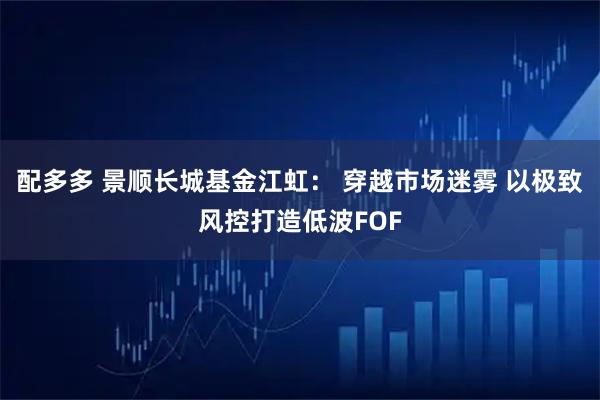 配多多 景顺长城基金江虹: 穿越市场迷雾 以极致风控打造低波FOF