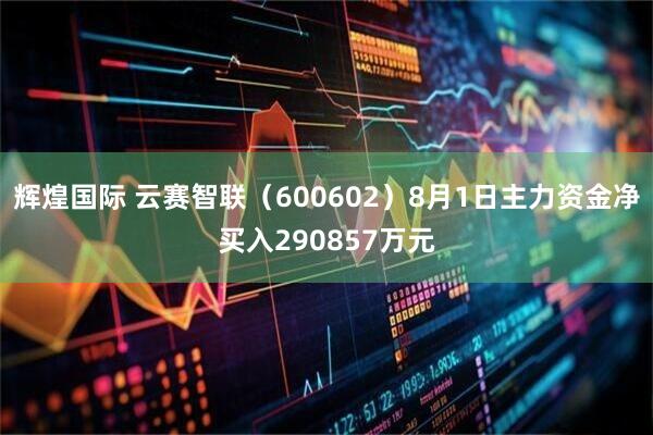 辉煌国际 云赛智联(600602)8月1日主力资金净买入290857万元